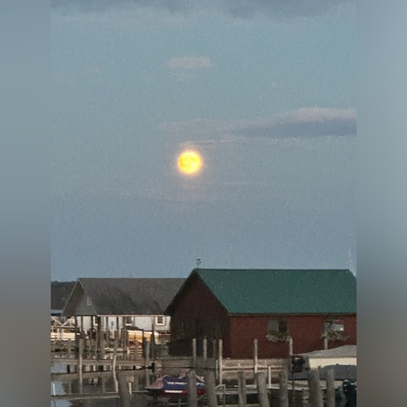 Share show - Picture 11 of 14